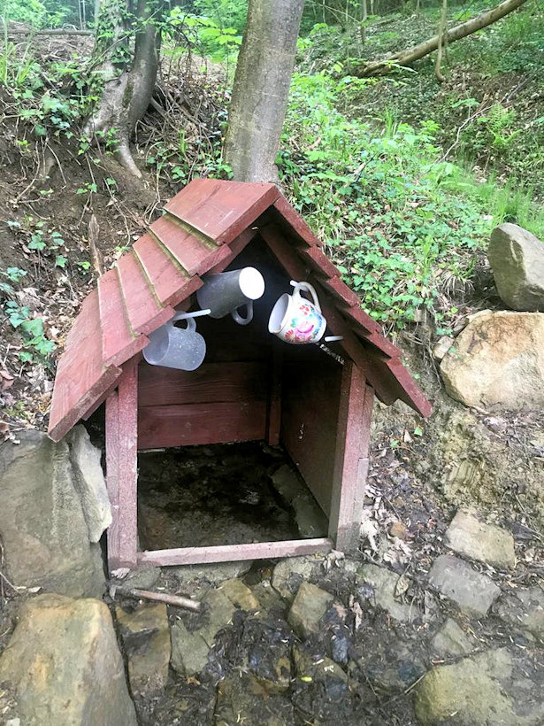 studánka Pod peciskem (13414)