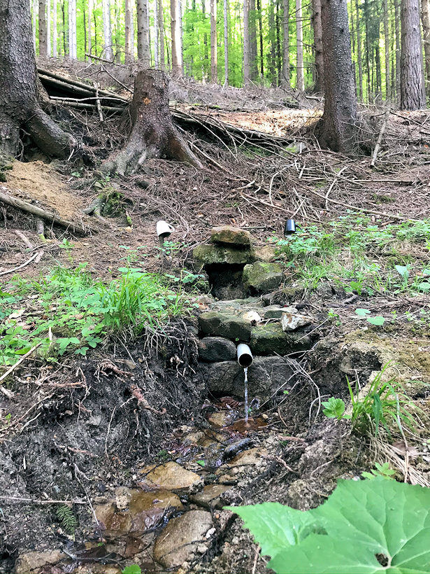 studánka Vlčí díry (13415)