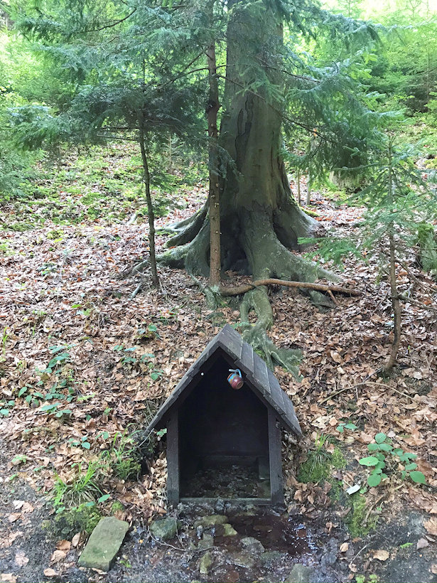 studánka Nad zimkovů lůků (13417)