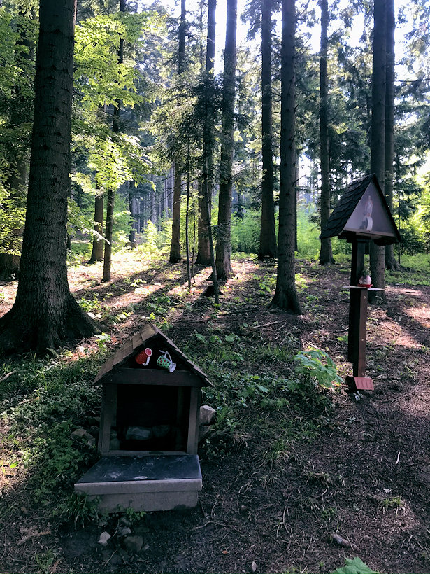 studánka Na trochtovém vrchu (13418)