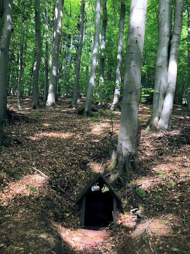 studánka V bednářovém bůčí (13420)