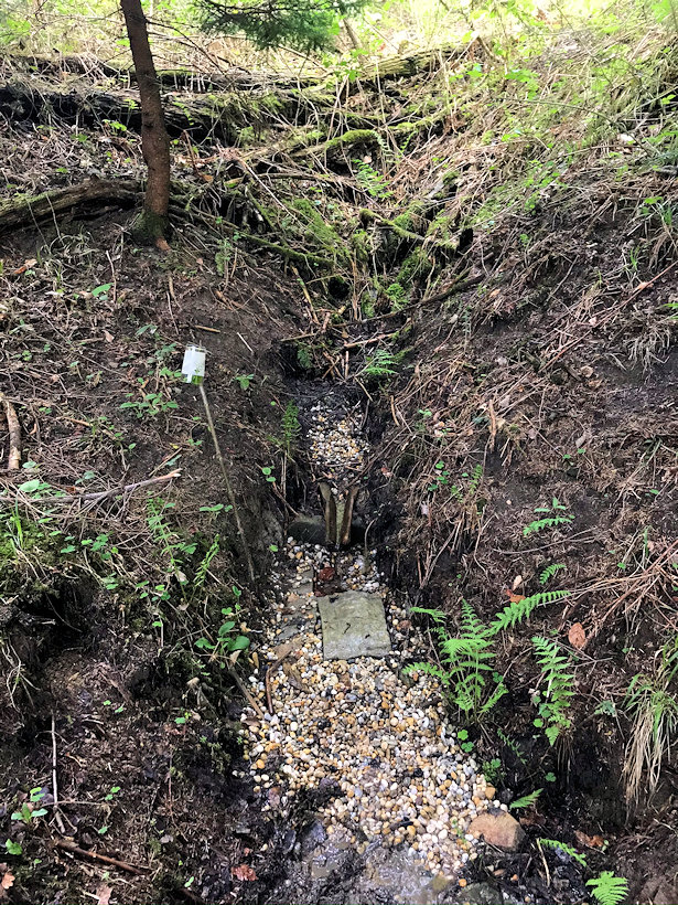 studánka Pod hořákovů lůků 2 (13422)