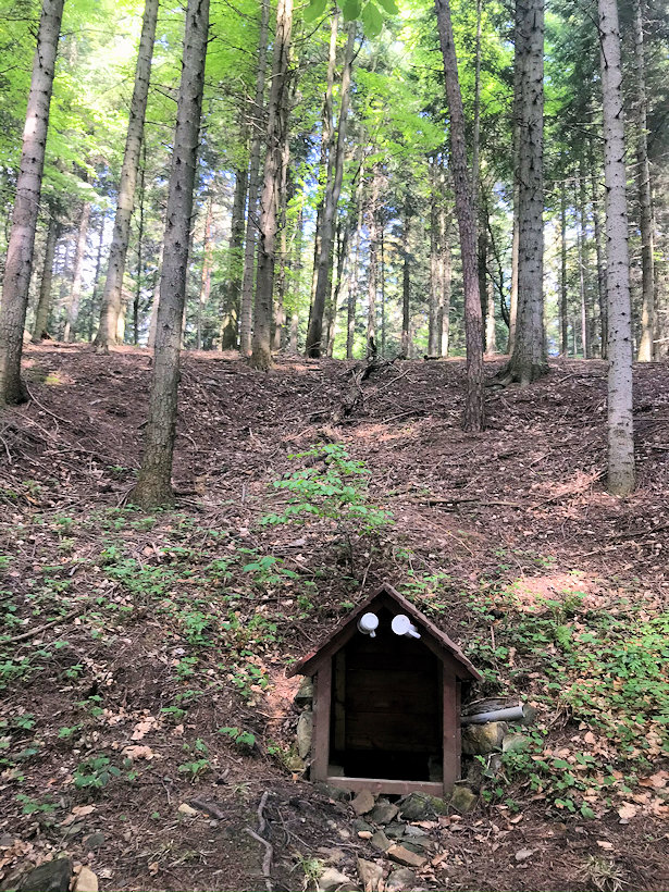 studánka V dobčíkovéj hoře (13423)