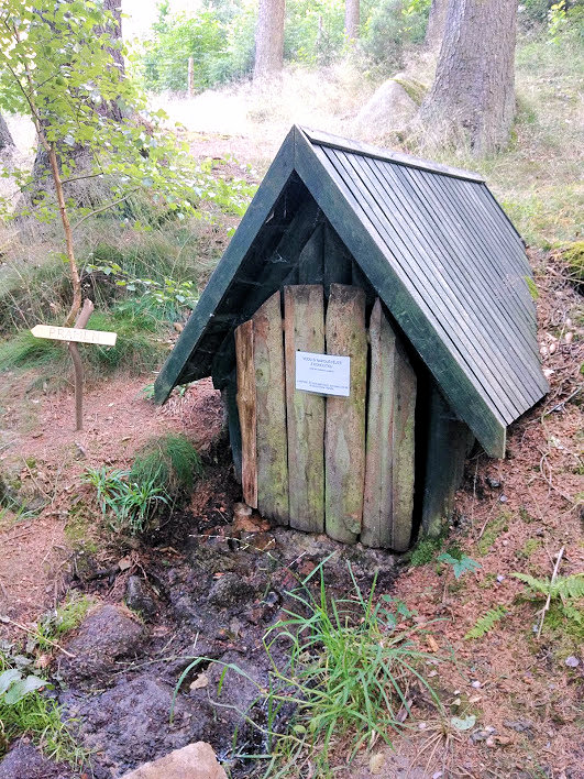 studánka U Benišova mlýna (13425)