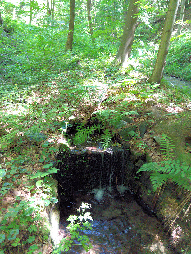 Kamenná studánka (13427)