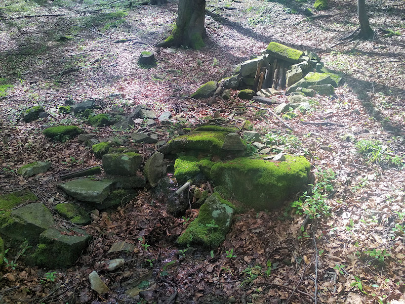 studánka U Jelení chaty (13433)