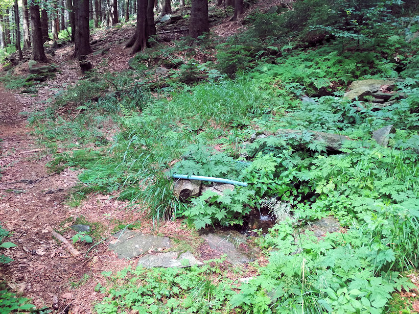 studánka U Horní Bremsberské boudy (13435)