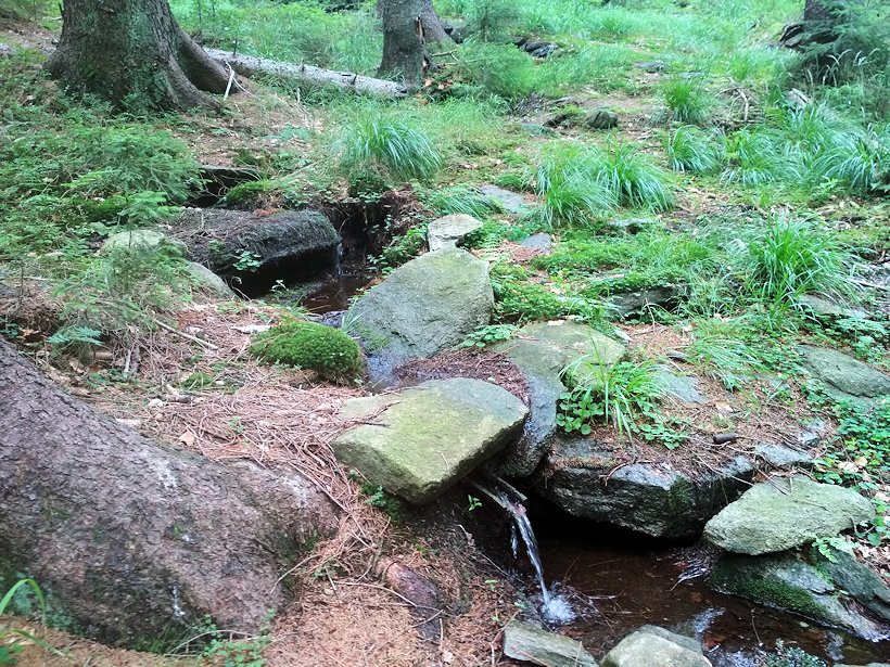 studánka Pod Horní Bremsberskou boudou (13436)