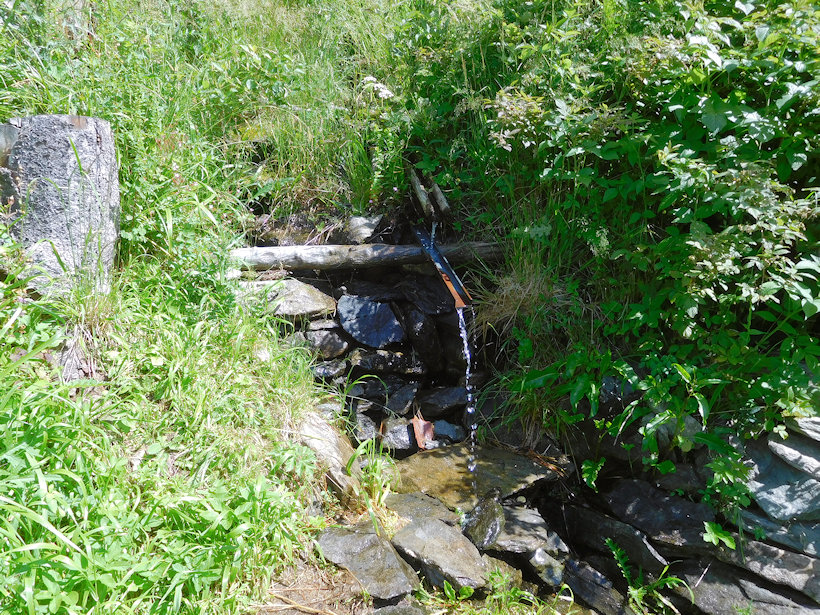 studánka Za Solnou chatou (13440)