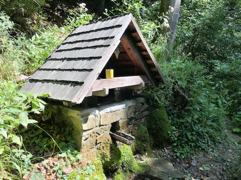 studánka bez jména (13446)