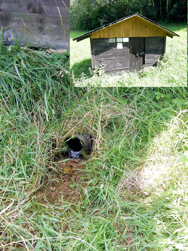 studánka V úvoze (13449)
