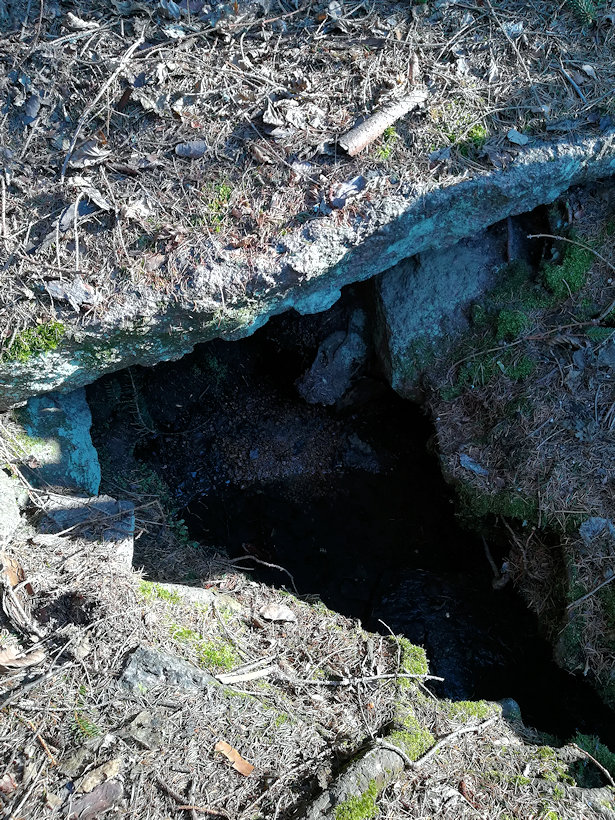 Hlubyňská studánka  (13472)