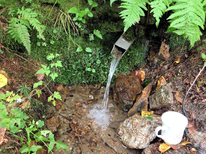 studánka bez jména (13473)
