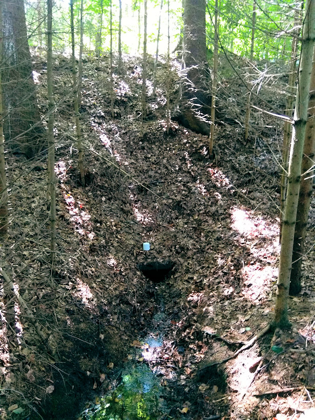 studánka Potočnice 2 (13475)