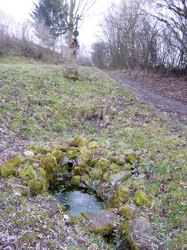studánka Koukalova (13480)