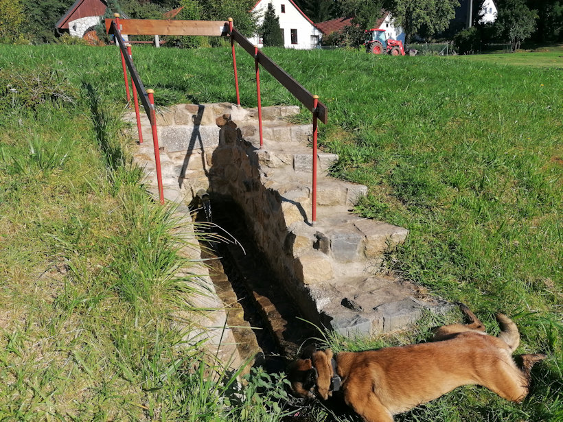 Studánka (13483)