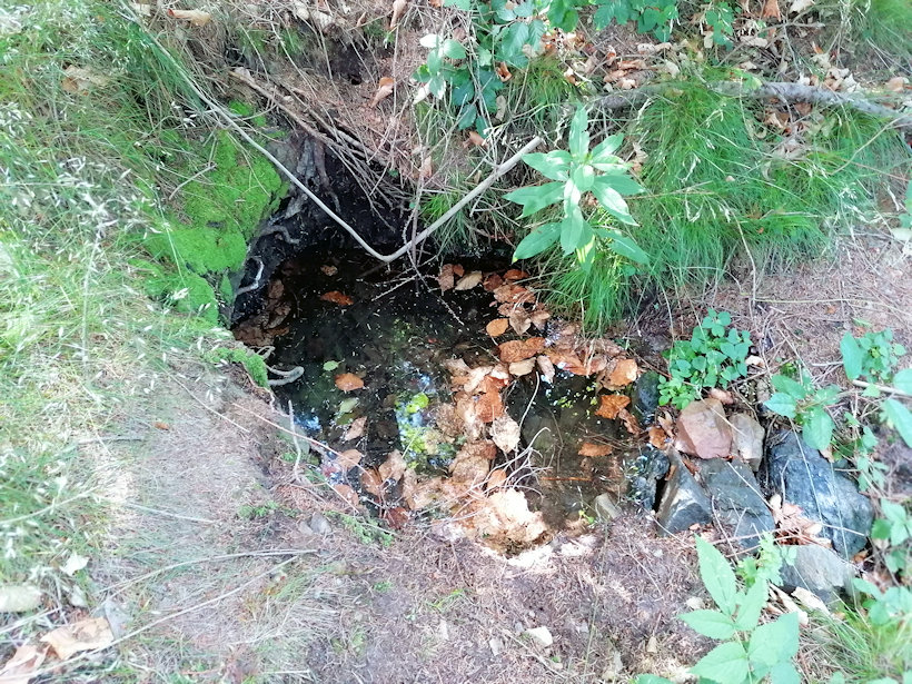 studánka Jelení (13484)