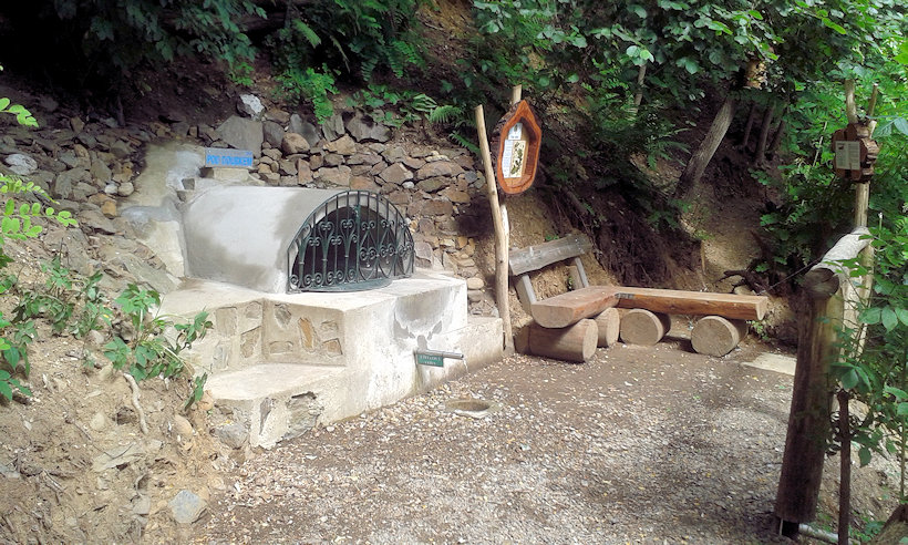studánka Pod doubkem  (13486)