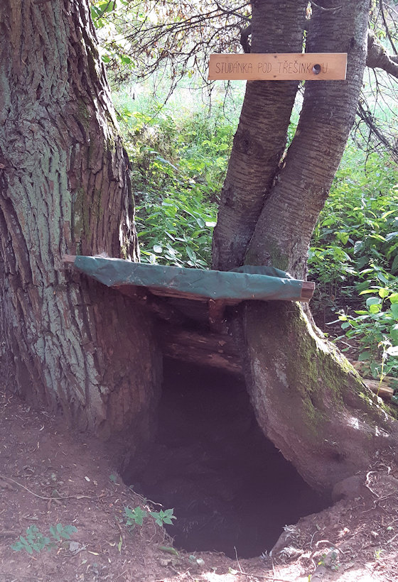 studánka Pod třešínkou (13489)