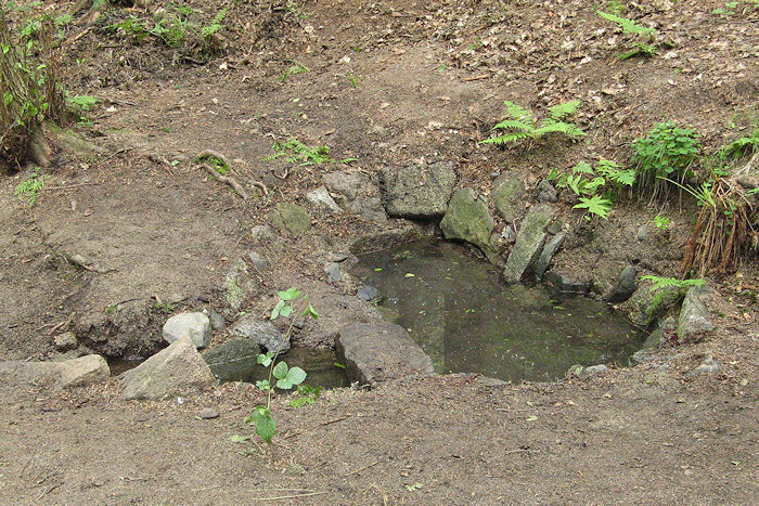 Liščí