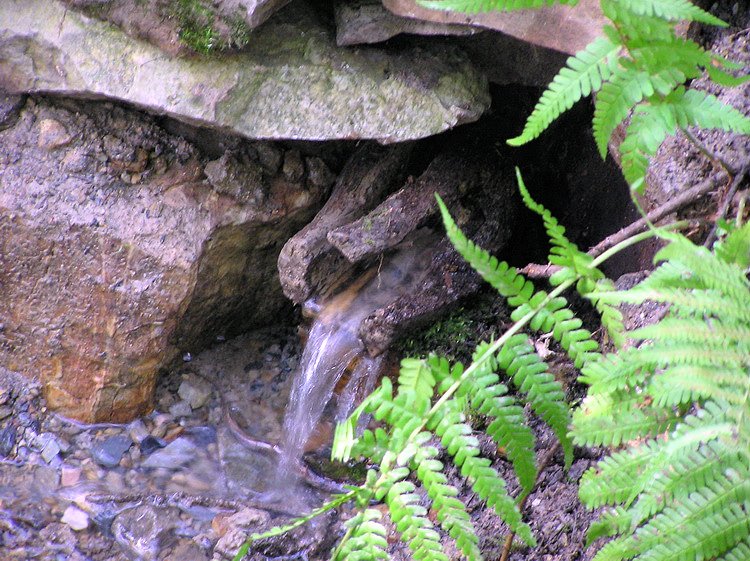 Rekonstrukce Urešovy studánky